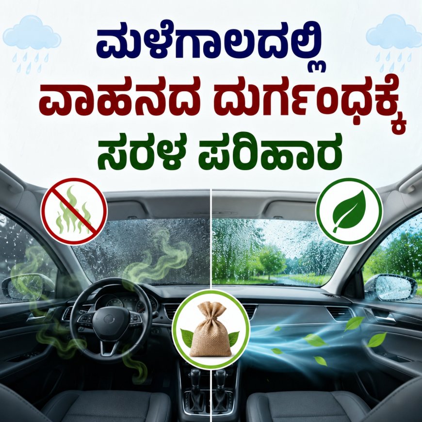 ಮಳೆಗಾಲದಲ್ಲಿ ವಾಹನದ ದುರ್ಗಂಧಕ್ಕೆ ಸರಳ ಪರಿಹಾರ