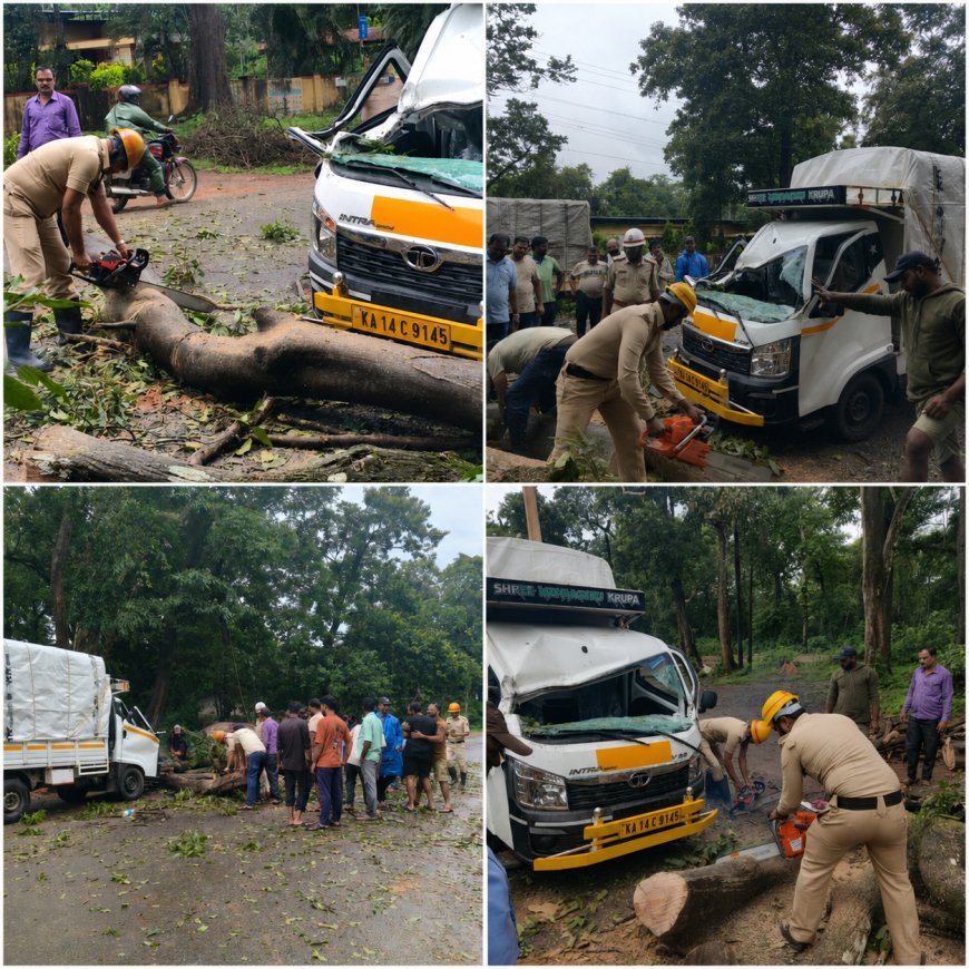 ಶಿರಸಿ ಬಿಸಿಲಕೊಪ್ಪ ಬಳಿ ಚಲಿಸುತ್ತಿದ್ದ ವಾಹನದ ಮೇಲೆ ಬಿದ್ದ ಮರ: ಚಾಲಕ ಅಪಾಯದಿಂದ ಪಾರು, ಅರಣ್ಯ ಹಾಗೂ ಅಗ್ನಿಶಾಮಕ ಸಿಬ್ಬಂದಿಯಿಂದ ತ್ವರಿತ ಕಾರ್ಯಾಚರಣೆ