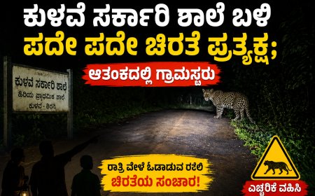 ಕುಳವೆ ಸರ್ಕಾರಿ ಶಾಲೆ ಬಳಿ ಪದೇ ಪದೇ ಚಿರತೆ ಪ್ರತ್ಯಕ್ಷ; ಆತಂಕದಲ್ಲಿ ಗ್ರಾಮಸ್ಥರು