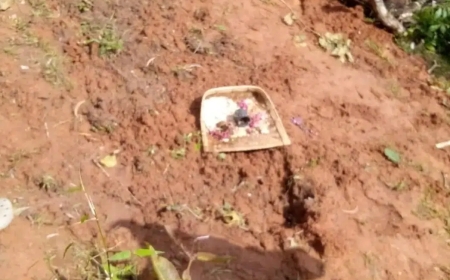 ಐಗೋಡು ರಕ್ಷಿತ ಅರಣ್ಯದಲ್ಲಿ ನಿಗೂಢ ಆಚರಣೆಯ ಶಂಕೆ; ಗುಂಡಿ ತೋಡಿ ವಸ್ತುಗಳನ್ನಿಟ್ಟು ಹೋಗಿರುವುದು ಪತ್ತೆ, ಪೊಲೀಸರಿಂದ ತನಿಖೆ