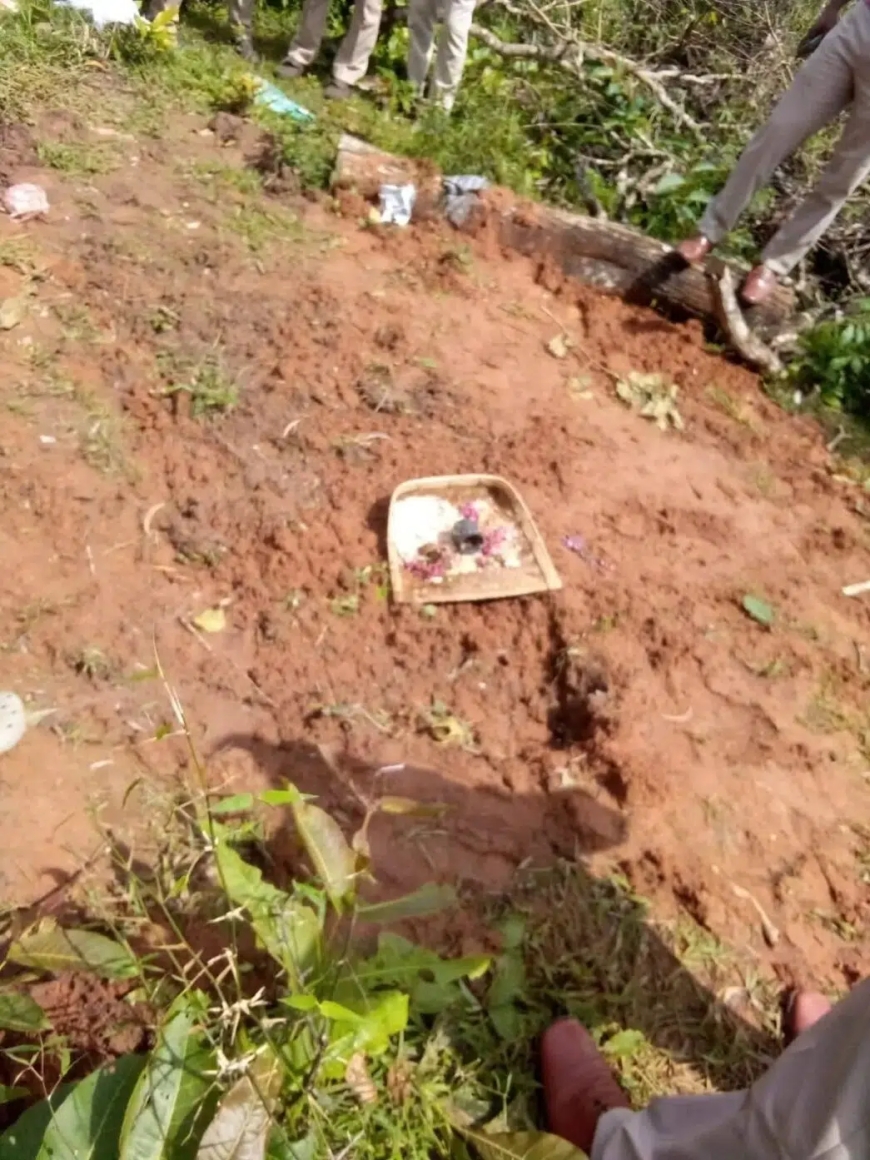 ಐಗೋಡು ರಕ್ಷಿತ ಅರಣ್ಯದಲ್ಲಿ ನಿಗೂಢ ಆಚರಣೆಯ ಶಂಕೆ; ಗುಂಡಿ ತೋಡಿ ವಸ್ತುಗಳನ್ನಿಟ್ಟು ಹೋಗಿರುವುದು ಪತ್ತೆ, ಪೊಲೀಸರಿಂದ ತನಿಖೆ