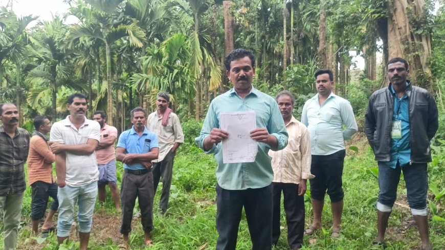 ಫಲ ನೀಡುವ ಹಂತದಲ್ಲಿದ್ದ ಅಡಿಕೆ ಮರಗಳ ಕಡಿತ: ಅರಣ್ಯ ಇಲಾಖೆ ವಿರುದ್ಧ ಅತಿಕ್ರಮಣದಾರರ ಆಕ್ರೋಶ