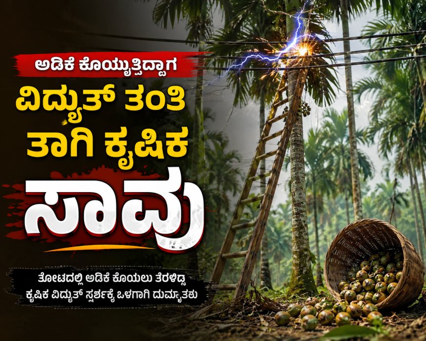 ವಿದ್ಯುತ್ ತಂತಿಗೆ ಏಣಿ ತಾಗಿ ಅಡಿಕೆ ಕೊಯ್ಯಲು ತೆರಳಿದ್ದ ಕೃಷಿಕ ಸಾವು