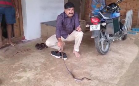 ಮನೆಯೊಳಗೆ ನಾಗರಹಾವು ಪ್ರತ್ಯಕ್ಷ; ಸುರಕ್ಷಿತವಾಗಿ ಸೆರೆಹಿಡಿದು ಕಾಡಿಗೆ ಬಿಡುಗಡೆ