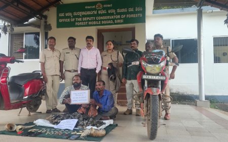 ಯಲ್ಲಾಪುರದಲ್ಲಿ ವನ್ಯಜೀವಿ ಉತ್ಪನ್ನಗಳ ಅಕ್ರಮ ಸಾಗಾಟ ಪತ್ತೆ