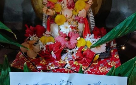 ಗಣೇಶ ಮಂಟಪದಲ್ಲೇ ನದಿ ಸಂರಕ್ಷಣೆಯ ಸಂಕಲ್ಪ: ತಿರುವು ಯೋಜನೆಗಳ ವಿರುದ್ಧ ಭಿತ್ತಿಪತ್ರ