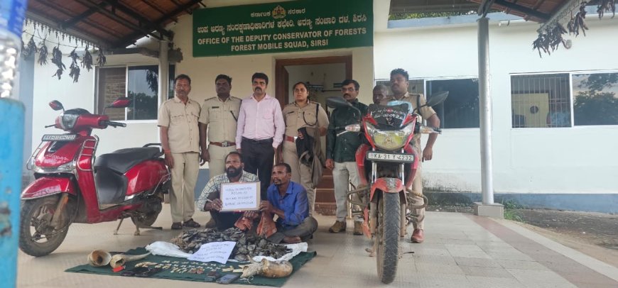 ಯಲ್ಲಾಪುರದಲ್ಲಿ ವನ್ಯಜೀವಿ ಉತ್ಪನ್ನಗಳ ಅಕ್ರಮ ಸಾಗಾಟ ಪತ್ತೆ