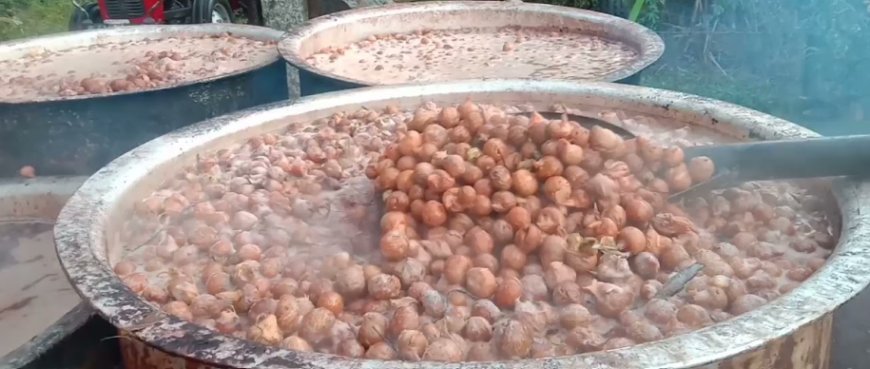 ಕುದಿಯುತ್ತಿದ್ದ ಚೊಗರಿನ ಹಂಡೆಗೆ ಬಿದ್ದ ಜೇನುಕುಮಾರ : ಅಡಿಕೆ ಬೇಯಿಸುವಾಗ ವ್ಯಕ್ತಿ ದುರಂತ ಅಂತ್ಯ
