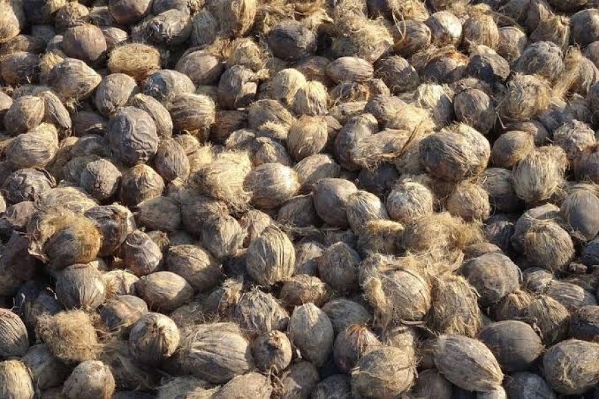 ಗೋಡೌನ್‌ಗೆ ಕನ್ನ: 90 ಸಾವಿರ ಮೌಲ್ಯದ 3 ಚೀಲ  ಅಡಿಕೆ ಕಳವು