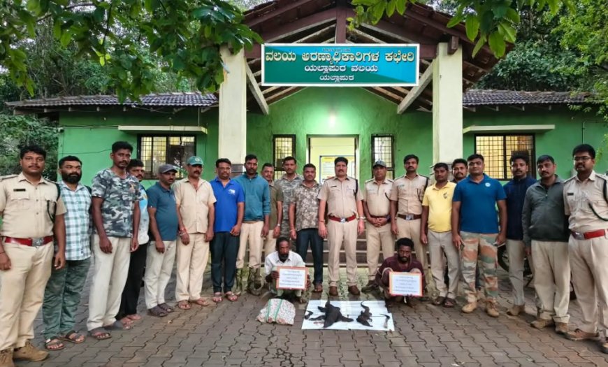ಯಲ್ಲಾಪುರದಲ್ಲಿಉಡಗಳ ಬೇಟೆ: ಇಬ್ಬರ ಬಂಧನ