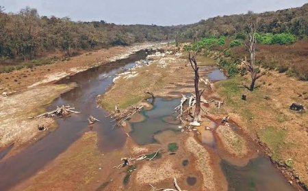ಬೇಡ್ತಿ–ವರದಾ ಜೋಡಣೆ: ಯಾವ ರಾಜಕಾರಣಿಯ ಕಾರ್ಖಾನೆ ದಾಹ ತಣಿಸಲಿದೆ ಬೇಡ್ತಿ ನೀರು?