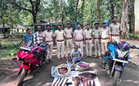 ಅಡಿಕೆ ತೋಟದಲ್ಲಿ ಕಡವೆ ಬೇಟೆ; ಅರಣ್ಯಾಧಿಕಾರಿಗಳ ದಿಢೀರ್ ದಾಳಿ – ಓರ್ವ ಅರೆಸ್ಟ್, ಐವರು ಪರಾರಿ!