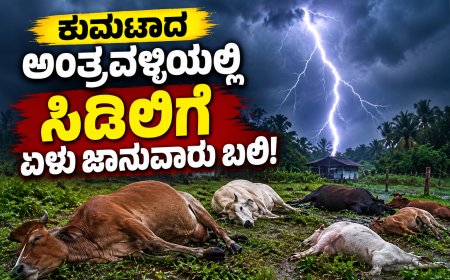 ಕುಮಟಾದ ಅಂತ್ರವಳ್ಳಿಯಲ್ಲಿ ಸಿಡಿಲಿಗೆ ಏಳು ಜಾನುವಾರು ಬಲಿ!