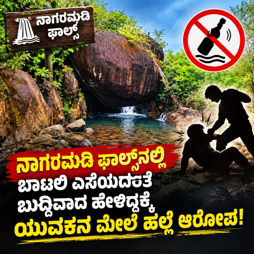 ನಾಗರಮಡಿ ಫಾಲ್ಸ್‌ನಲ್ಲಿ ಬಾಟಲಿ ಎಸೆಯದಂತೆ ಬುದ್ಧಿವಾದ ಹೇಳಿದ್ದಕ್ಕೆ ಯುವಕನ ಮೇಲೆ ಹಲ್ಲೆ ಆರೋಪ!