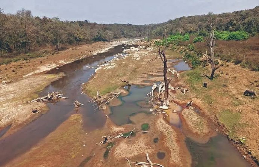 ಬೇಡ್ತಿ–ವರದಾ ಜೋಡಣೆ: ಯಾವ ರಾಜಕಾರಣಿಯ ಕಾರ್ಖಾನೆ ದಾಹ ತಣಿಸಲಿದೆ ಬೇಡ್ತಿ ನೀರು?