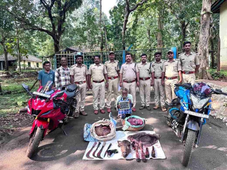 ಅಡಿಕೆ ತೋಟದಲ್ಲಿ ಕಡವೆ ಬೇಟೆ; ಅರಣ್ಯಾಧಿಕಾರಿಗಳ ದಿಢೀರ್ ದಾಳಿ – ಓರ್ವ ಅರೆಸ್ಟ್, ಐವರು ಪರಾರಿ!