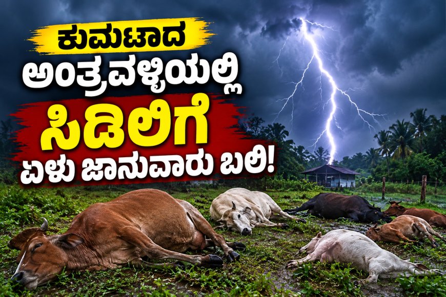 ಕುಮಟಾದ ಅಂತ್ರವಳ್ಳಿಯಲ್ಲಿ ಸಿಡಿಲಿಗೆ ಏಳು ಜಾನುವಾರು ಬಲಿ!